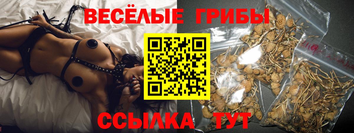 Галлюциногенные грибы Magic Shrooms  как найти закладки  Вход с VPN  Орехово-Зуево  Галлюциногенные грибы мицелий 